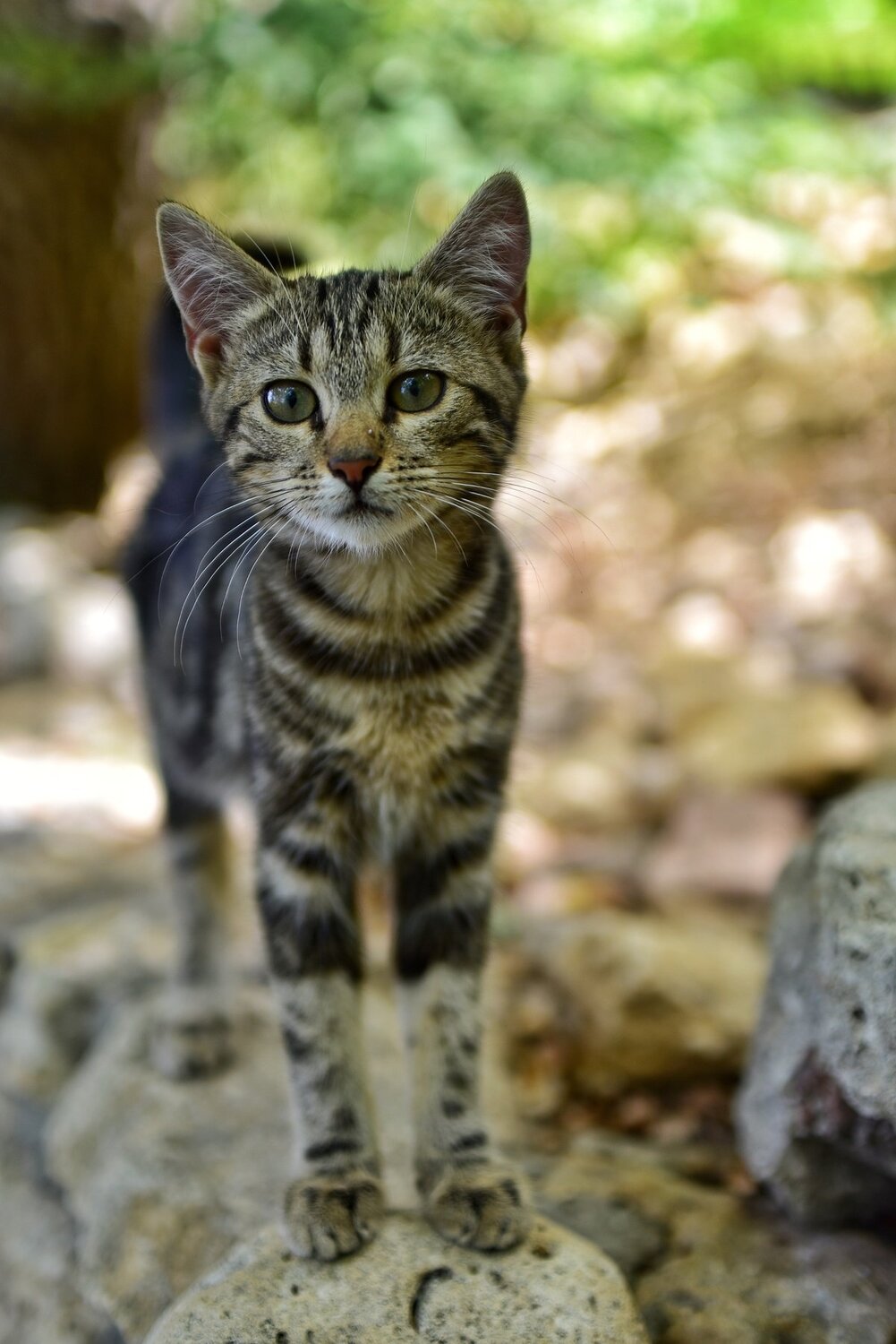 Photo #5280103
