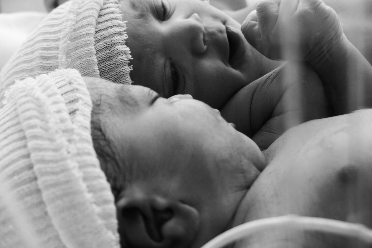 Photo #5280123