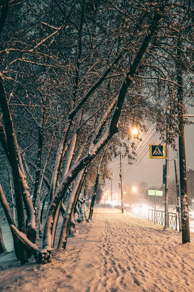 Photograph by Владимир Ткачёв