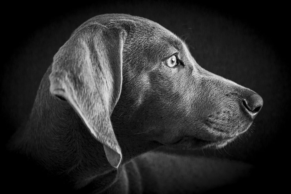 Photograph by Laura Lucio