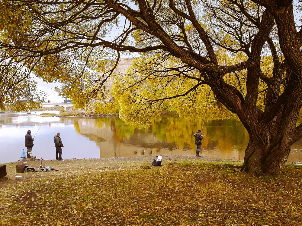 Photograph by Ольга Воронова