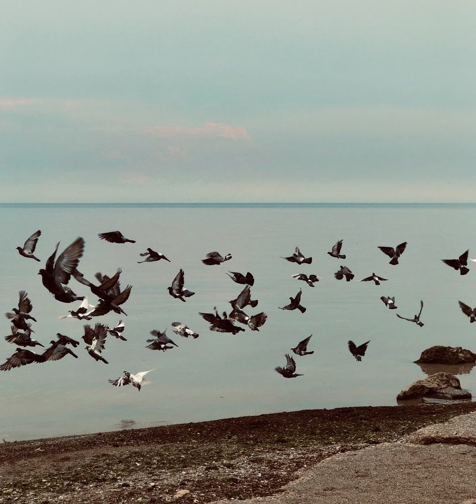Photograph by Anna Haidukova