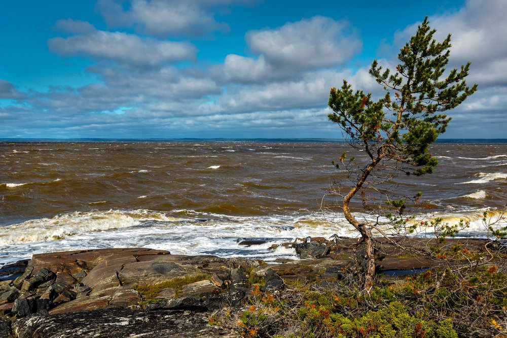 Photograph by Валентин Кузьмин