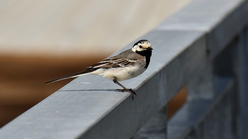 Photograph by Валерий Талейко