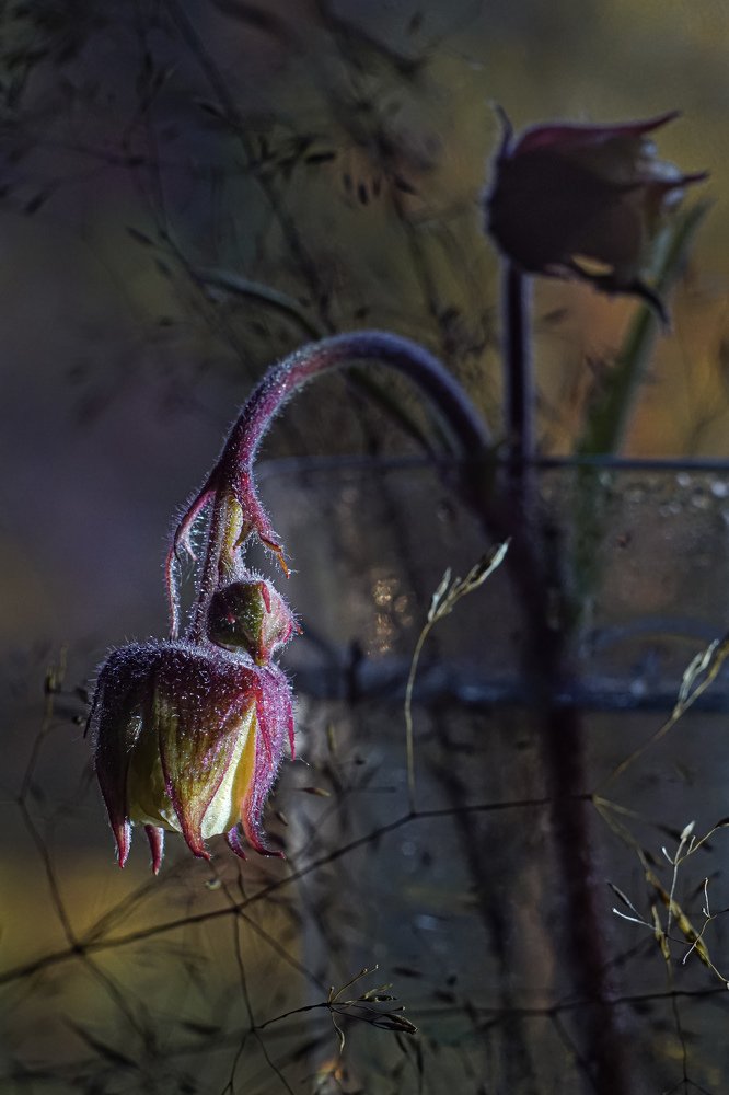 Photograph by Ольга Воронова