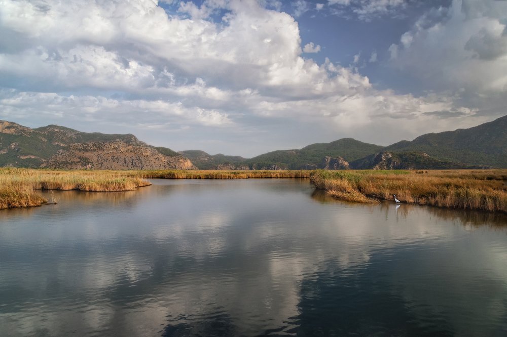Пейзаж с цаплей