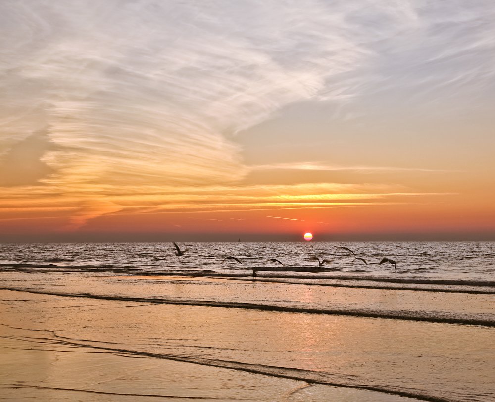 Photograph by 