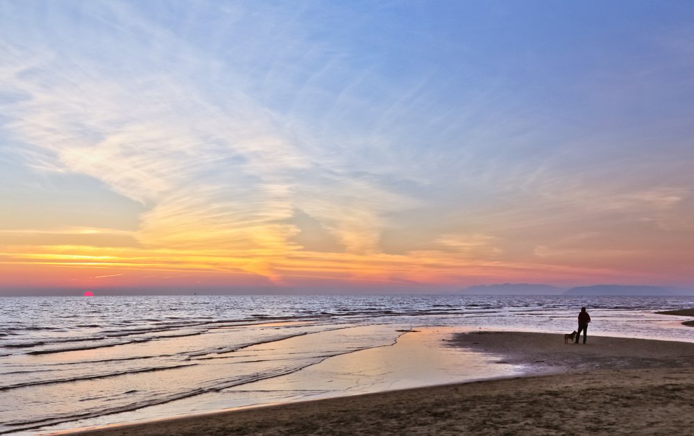 Photograph by 