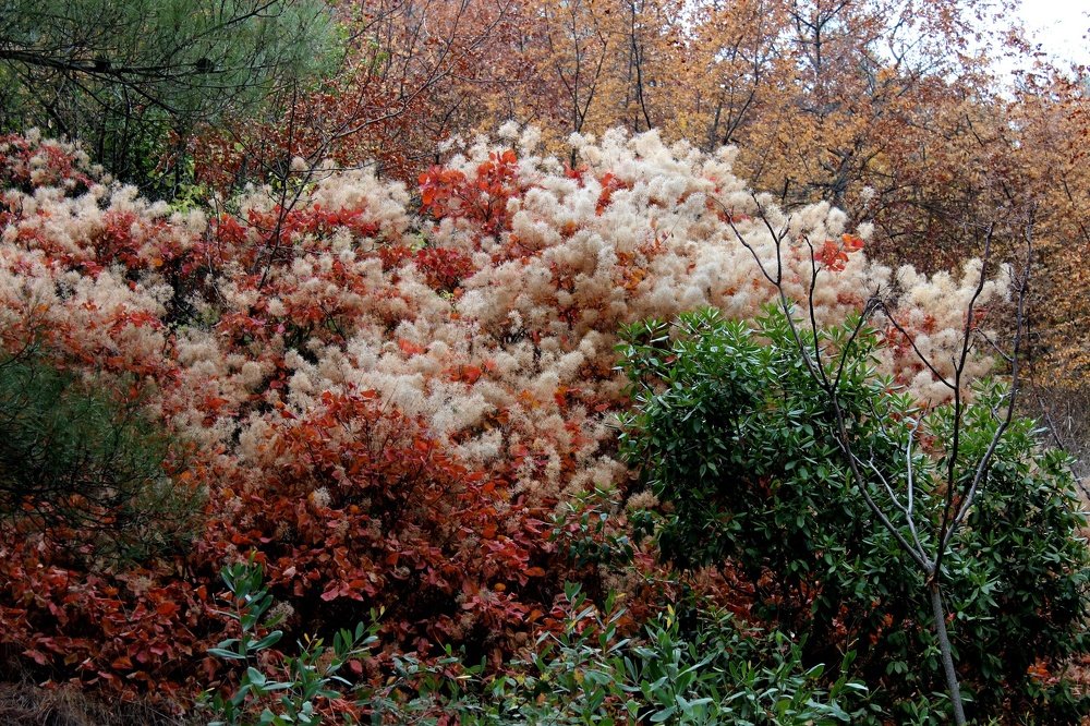 Photograph by Татьяна Пальчикова