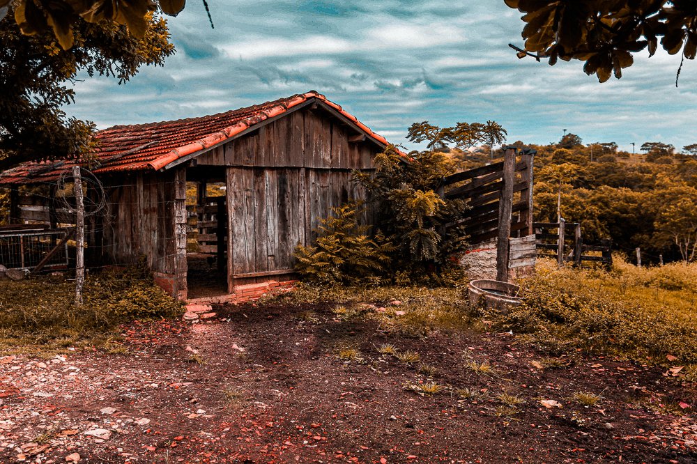 Photograph by Giancarlo Cornoló
