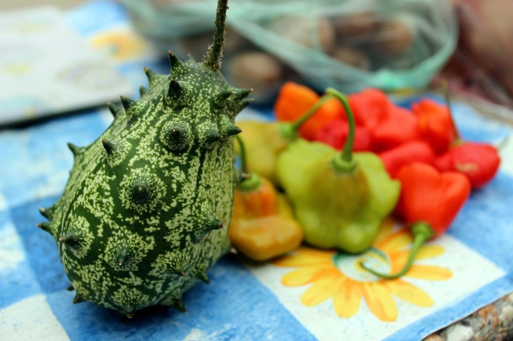 Натюрморт с овощами