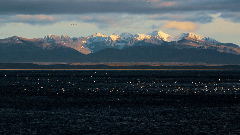 Камчатский морской пейзаж