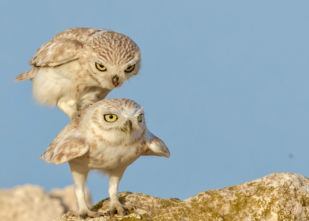 Photograph by Sikandar Hingora Sikandar