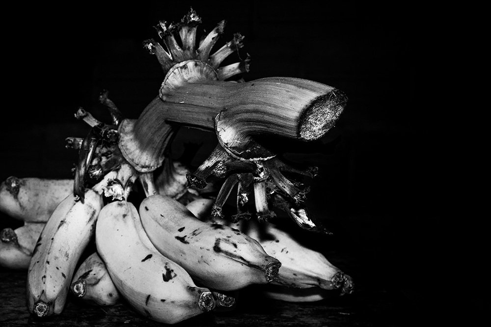 Photograph by Gerson Ricardo Costa Farias