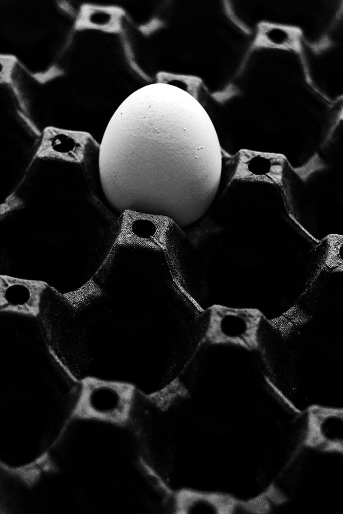 O ovo em seu isolamento