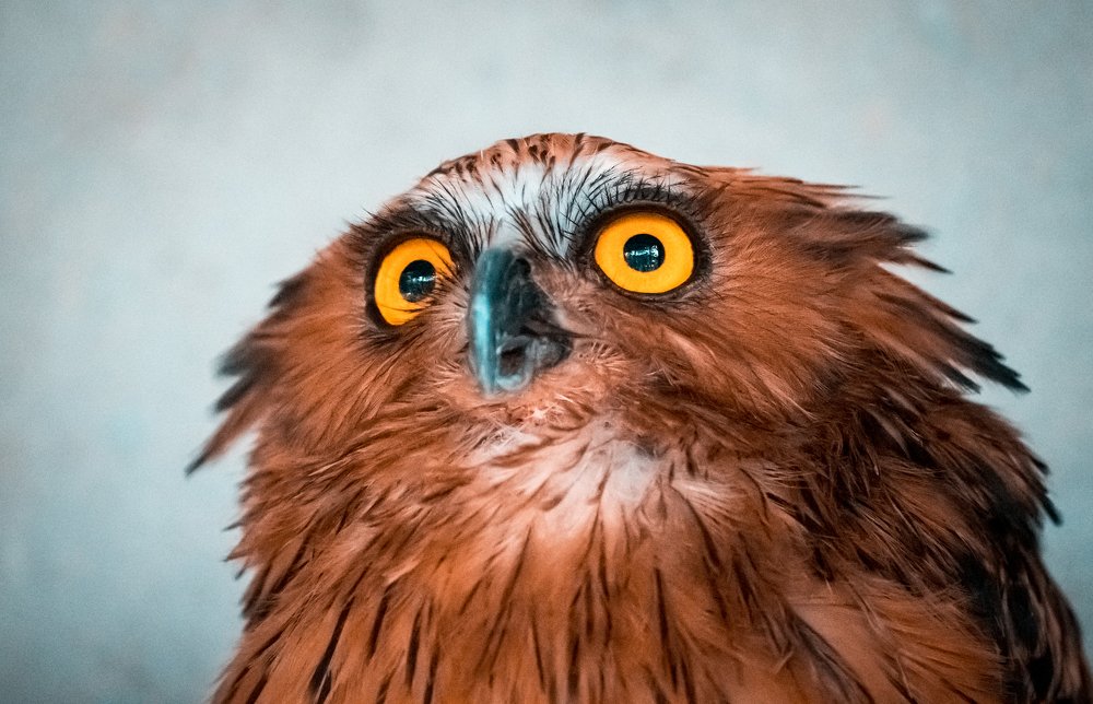 Photograph by Furqan Ali