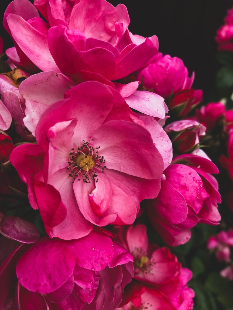 Photograph by Алена Жирова