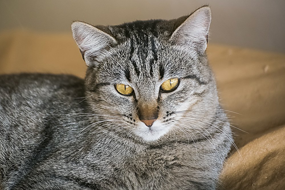 Photograph by Robison camargo