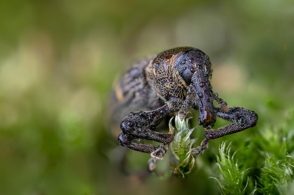 Photograph by Сергей Романченко