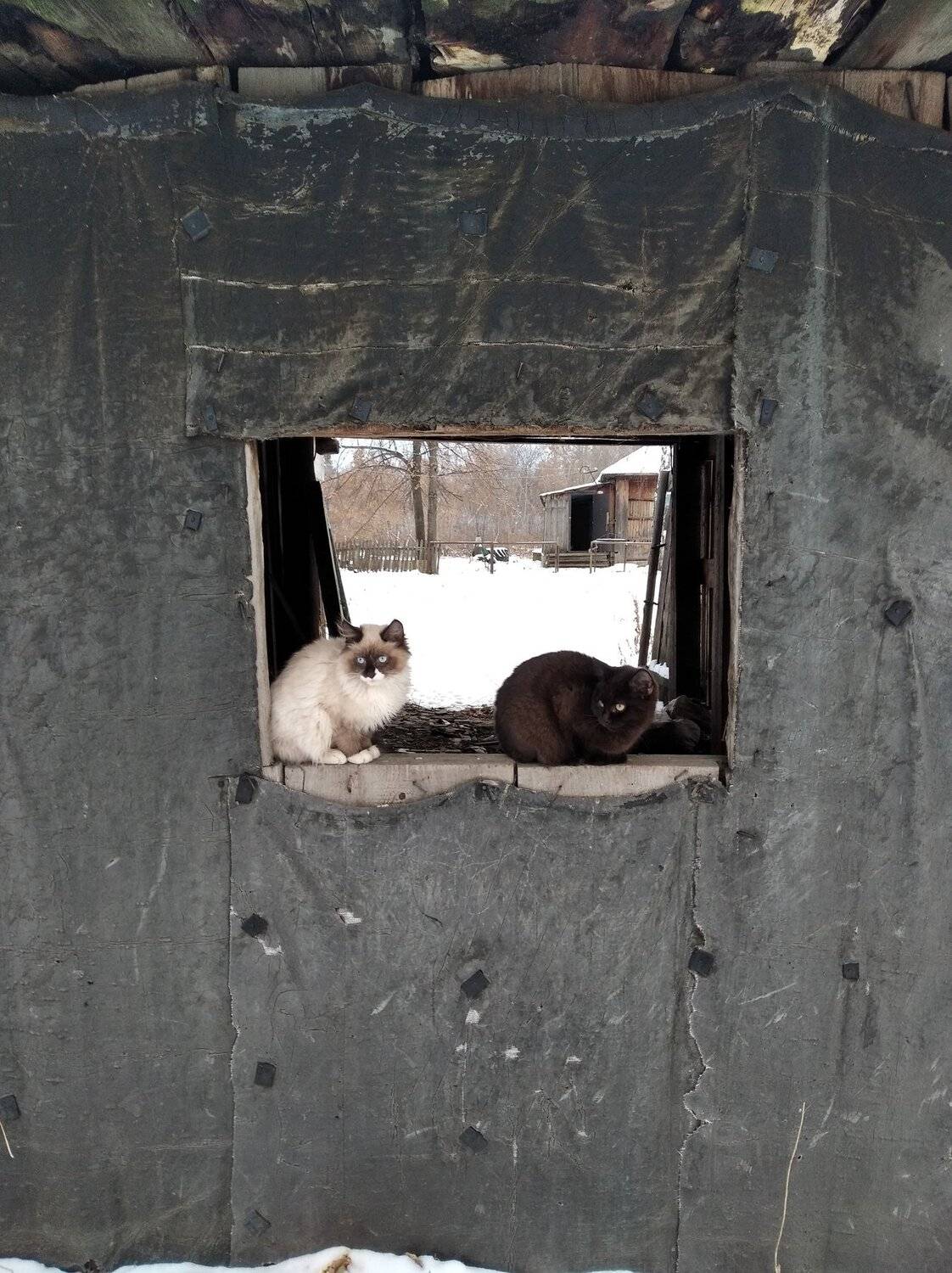 Photo #5280678