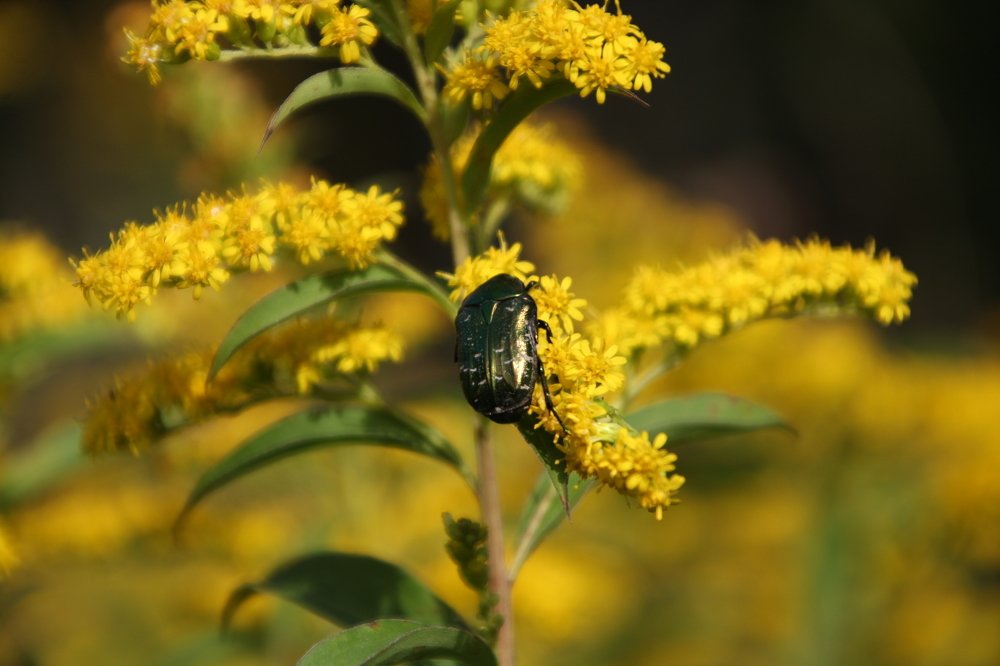 Photograph by Светлана Соколова
