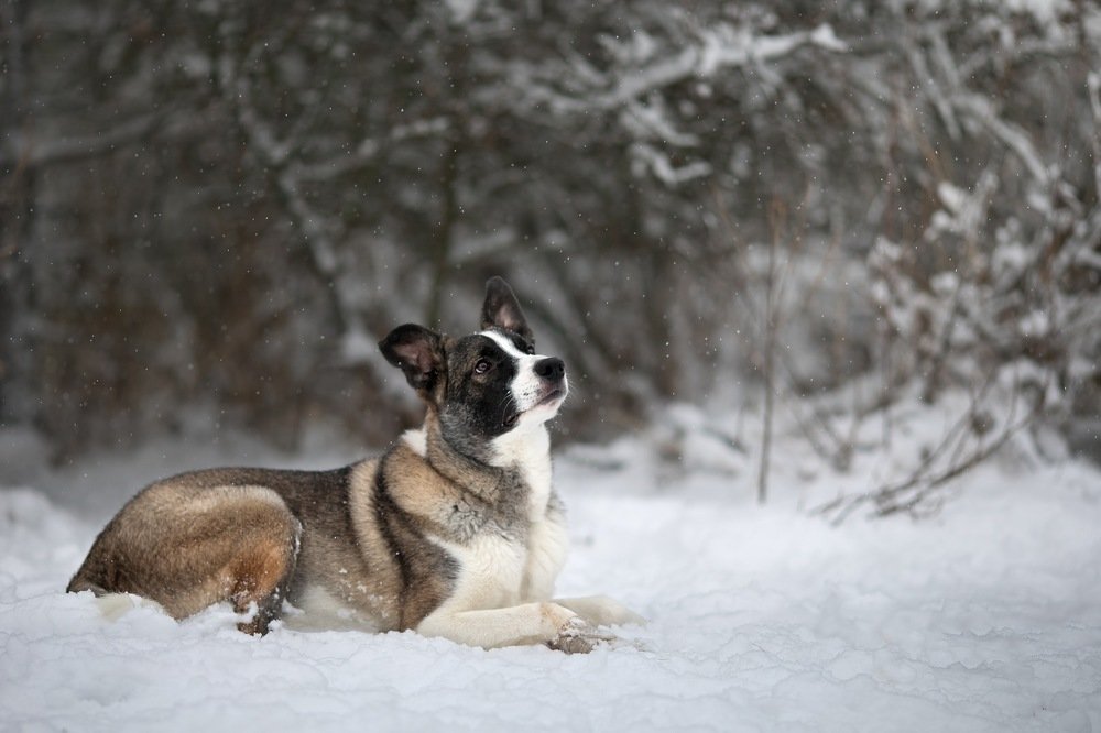 Фотография автора Анна Крутицкая