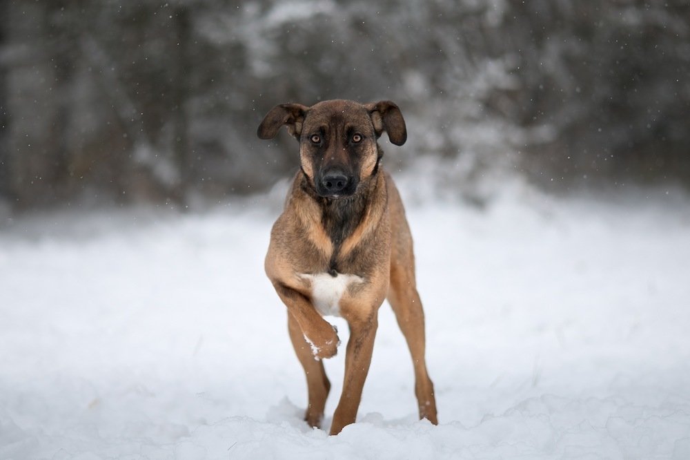Фотография автора Анна Крутицкая
