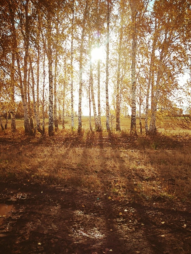 Photograph by Елена Федорова