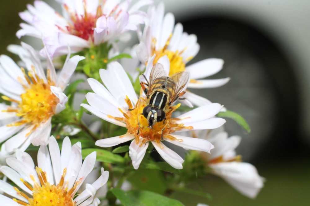 Photograph by Светлана Соколова