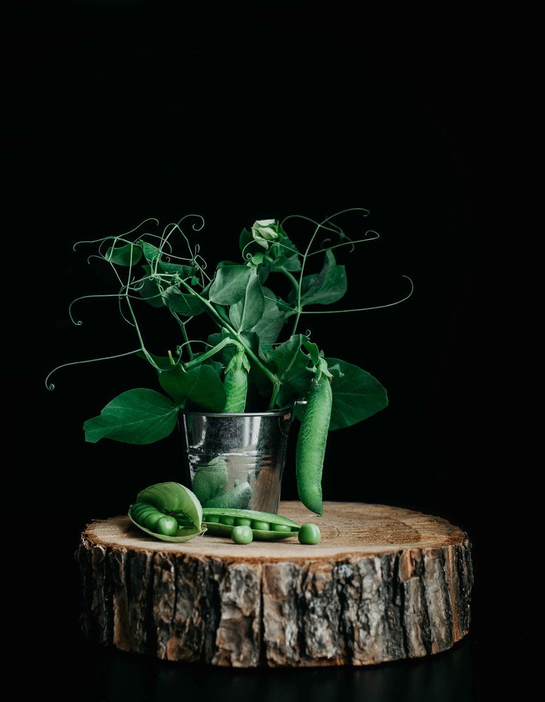 Photograph by Елена Мирзоева