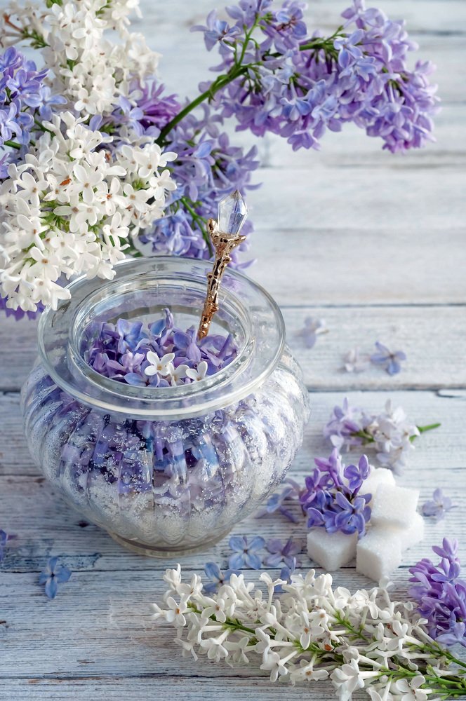 Photograph by Елена Мирзоева