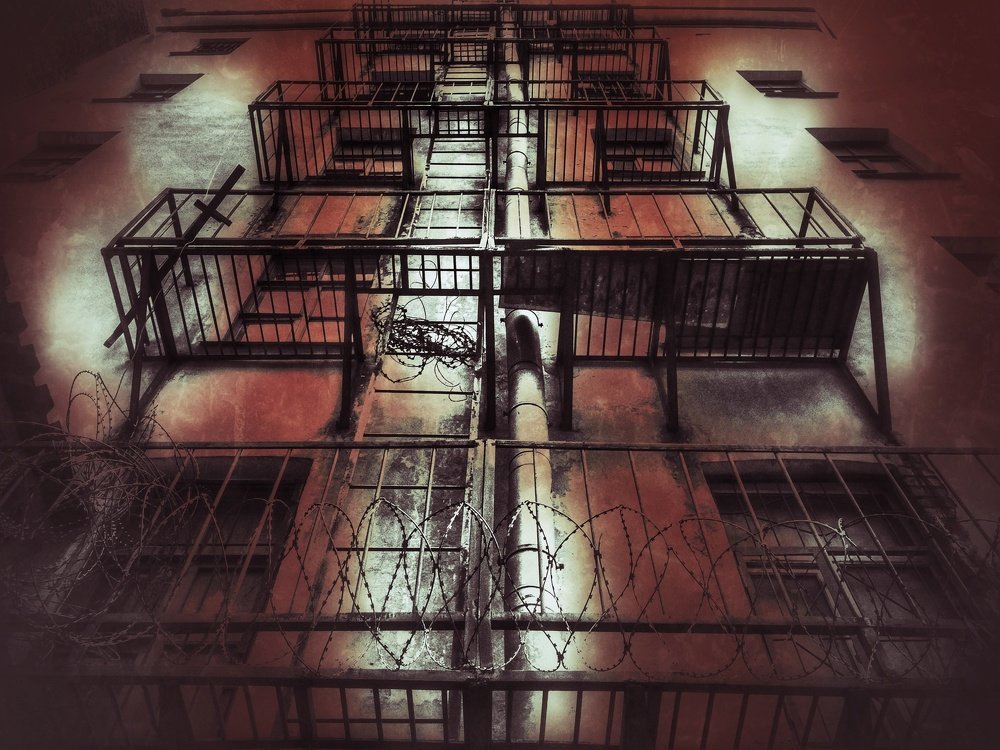 Photograph by Елена Амосова