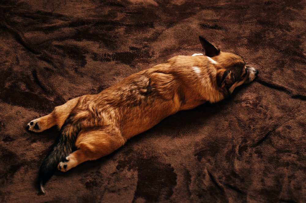 Photograph by Светлана