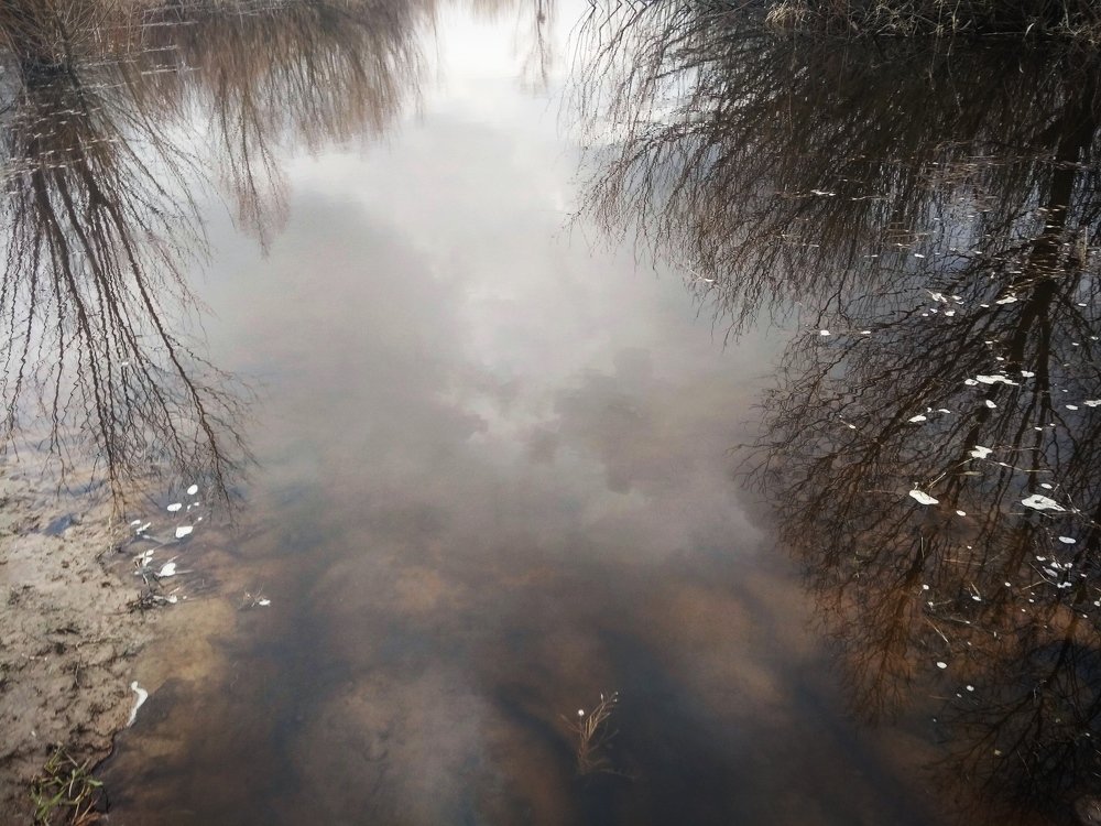 Photograph by Юлия Дейкун