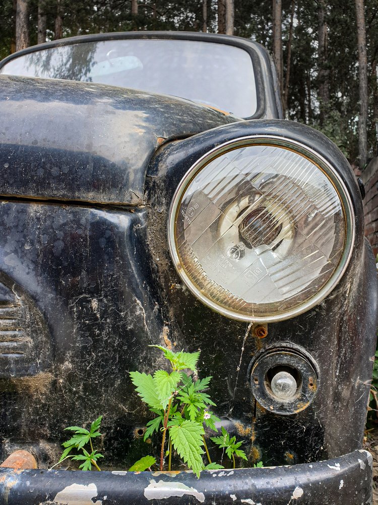 Photograph by Людмила Аксенова