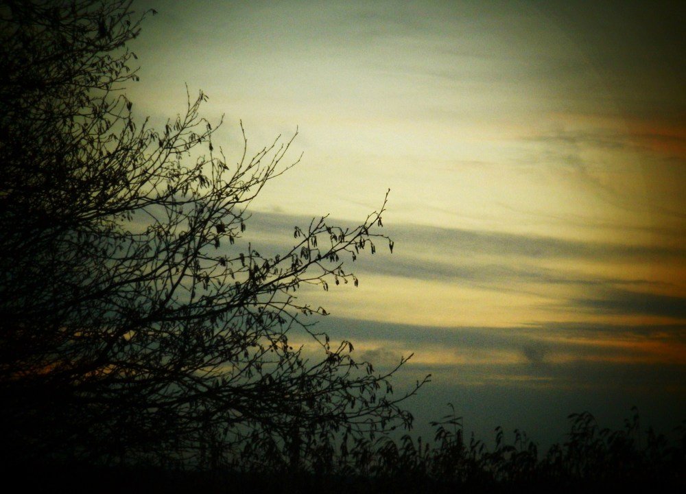 Photograph by Irina Mihailovskaya