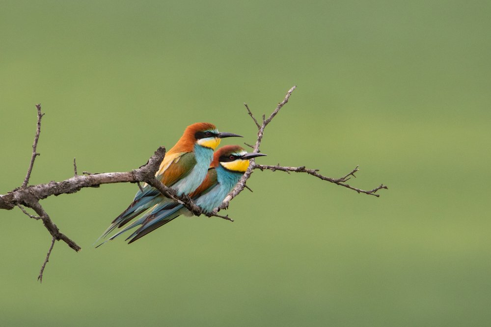 Photograph by Цветков Сергей