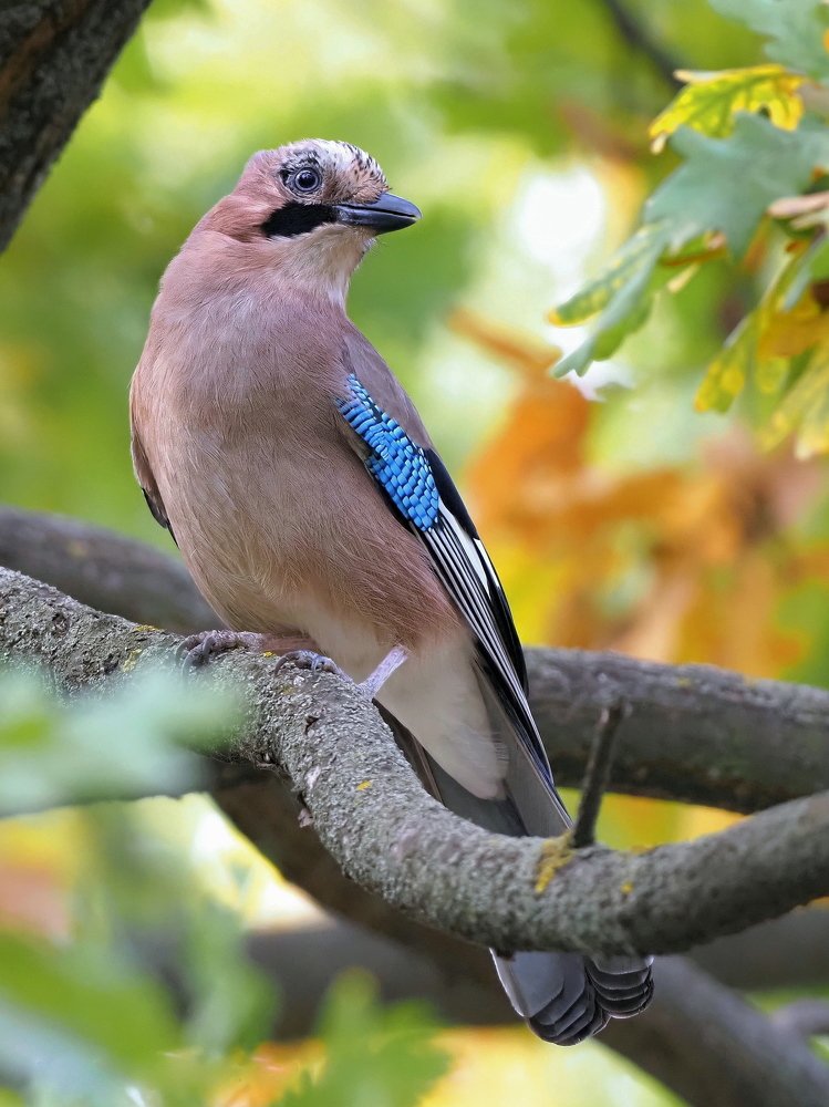 Photograph by Олег Присяжнюк