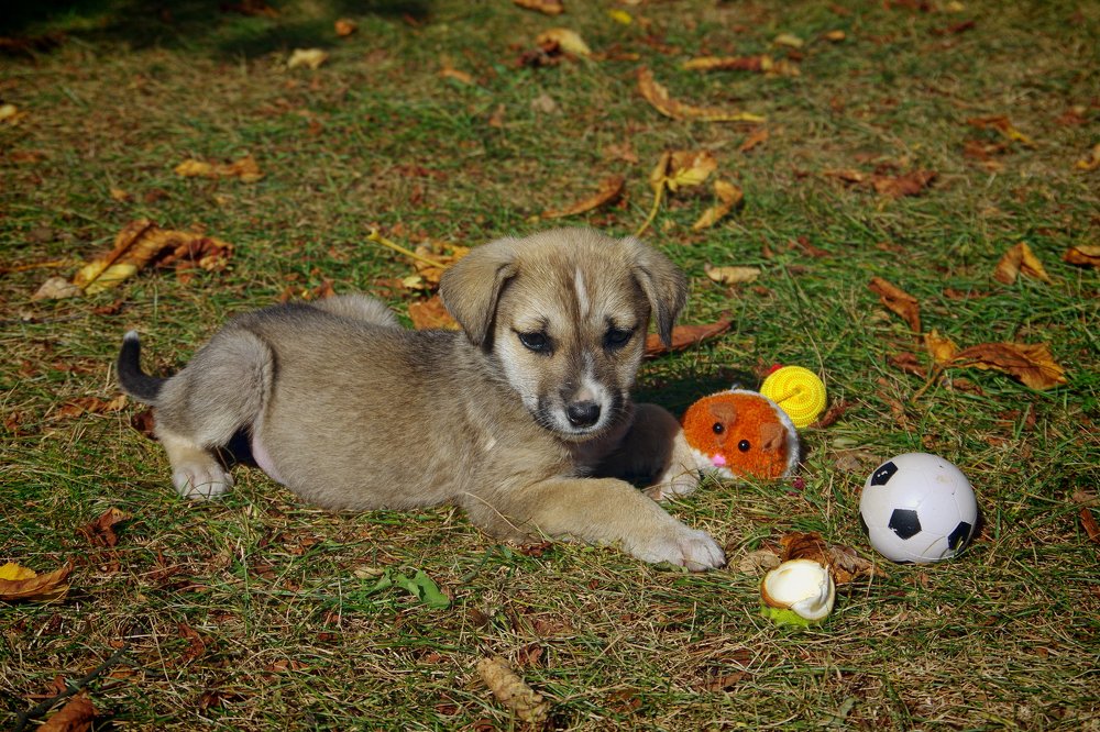 Photograph by Наталья Кащеева