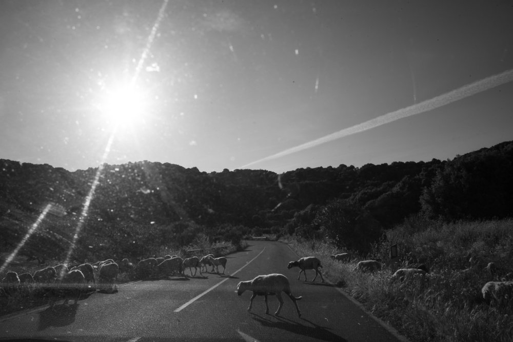 Photograph by Luca Azzena