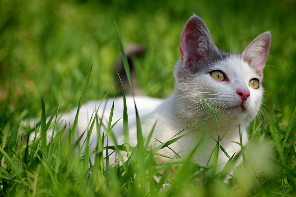 Photograph by Наталья Кащеева