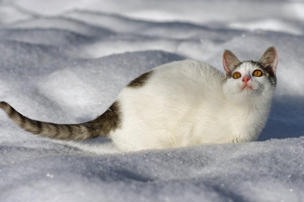 Photograph by Наталья Кащеева