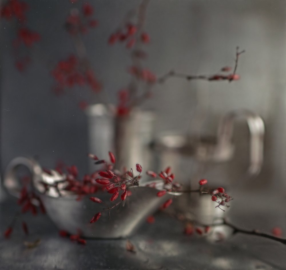 Photograph by Svoboda Andreeva