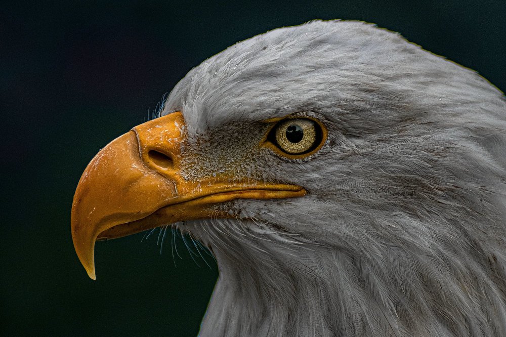 Photograph by Yauri Anrango