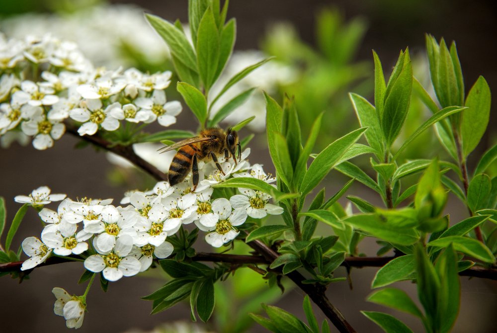 Photograph by Наталья Кащеева