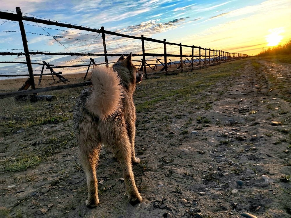 Photograph by Светлана