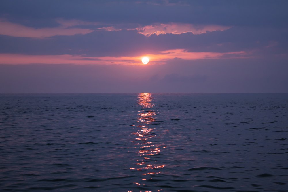 Photograph by Елена Носова