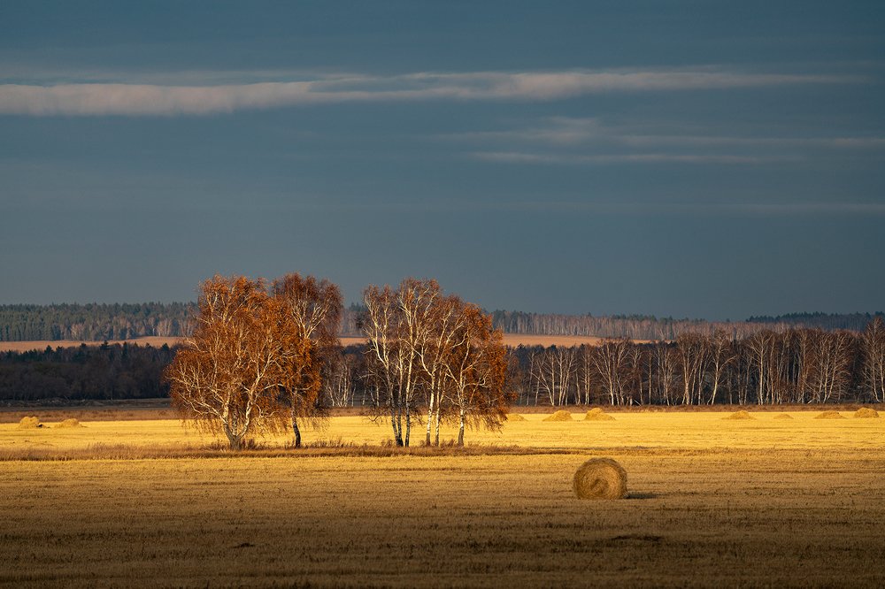 Фотография автора Constantine Kikvidze