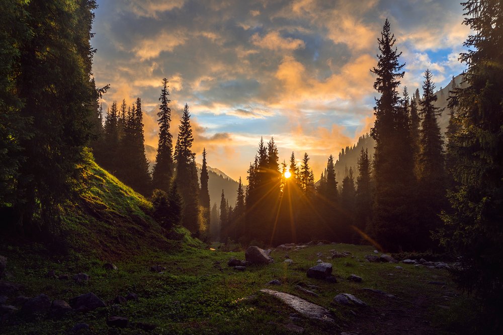 Фотография автора Constantine Kikvidze