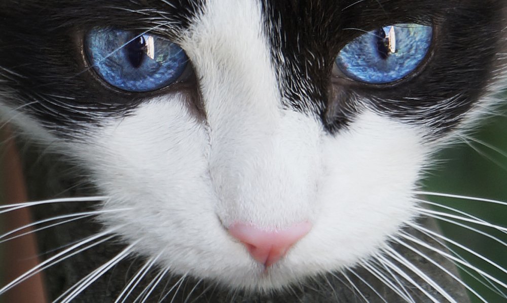 Photograph by Наталия Белозерова